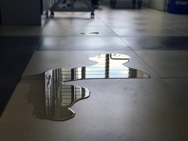 Best Water damage contractors near me  in Reinbeck, IA