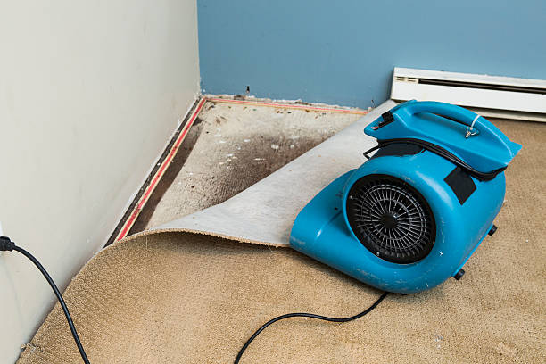 Best 24/7 water damage repair  in Reinbeck, IA